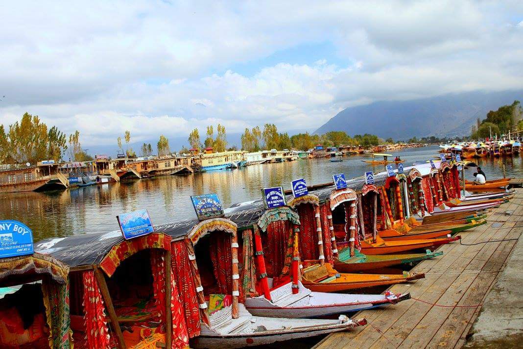 Kashmir trips