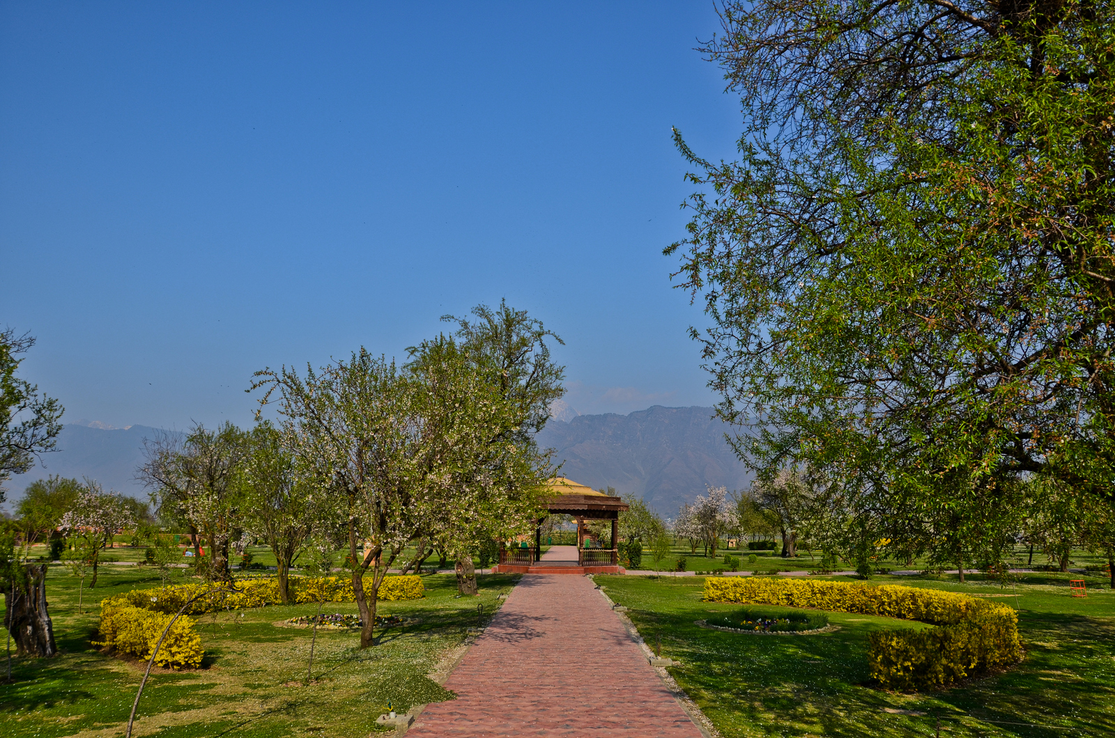 4 NIGHTS 5 DAYS KASHMIR PACKAGE
