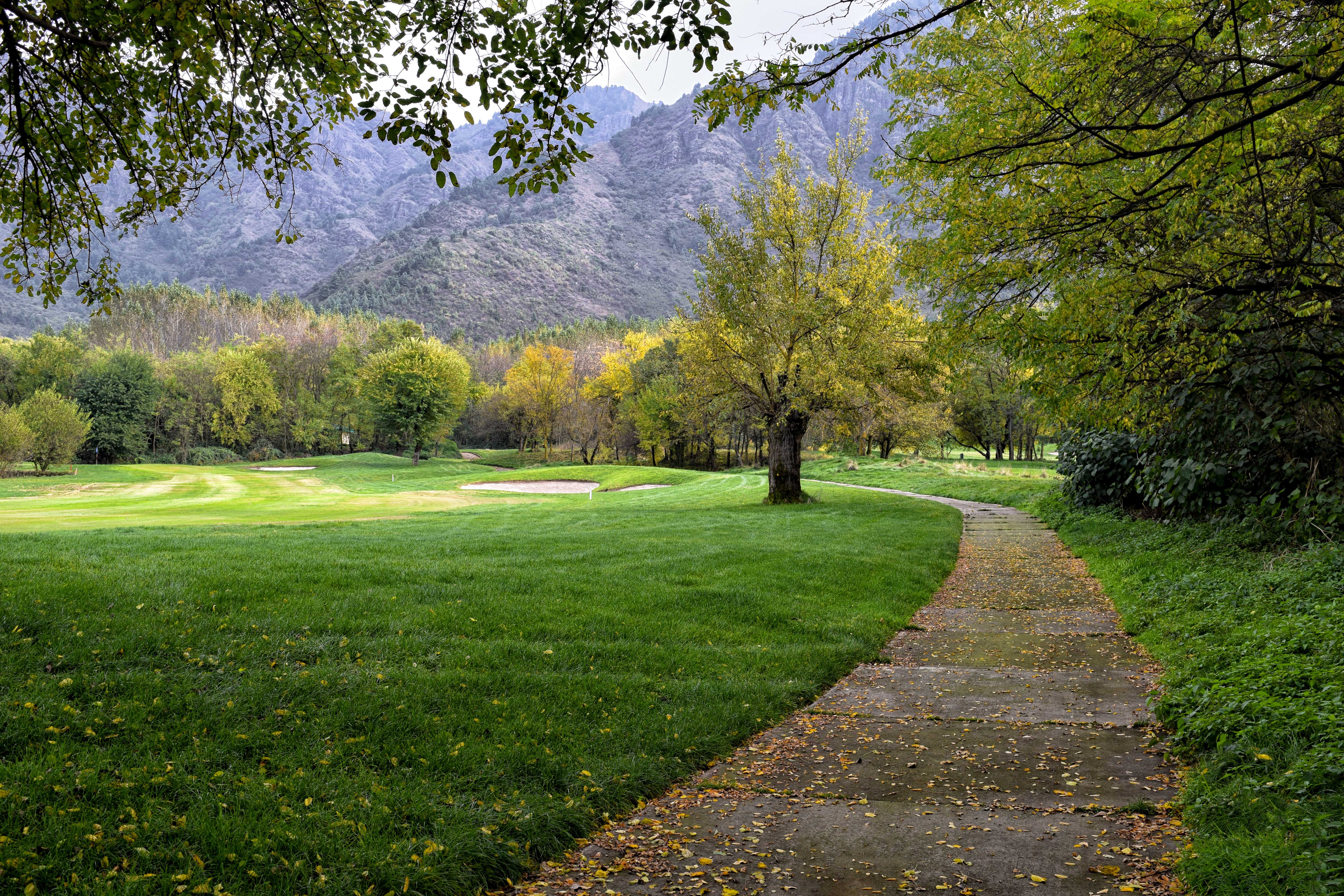 royal spring golf club- kashmir tour