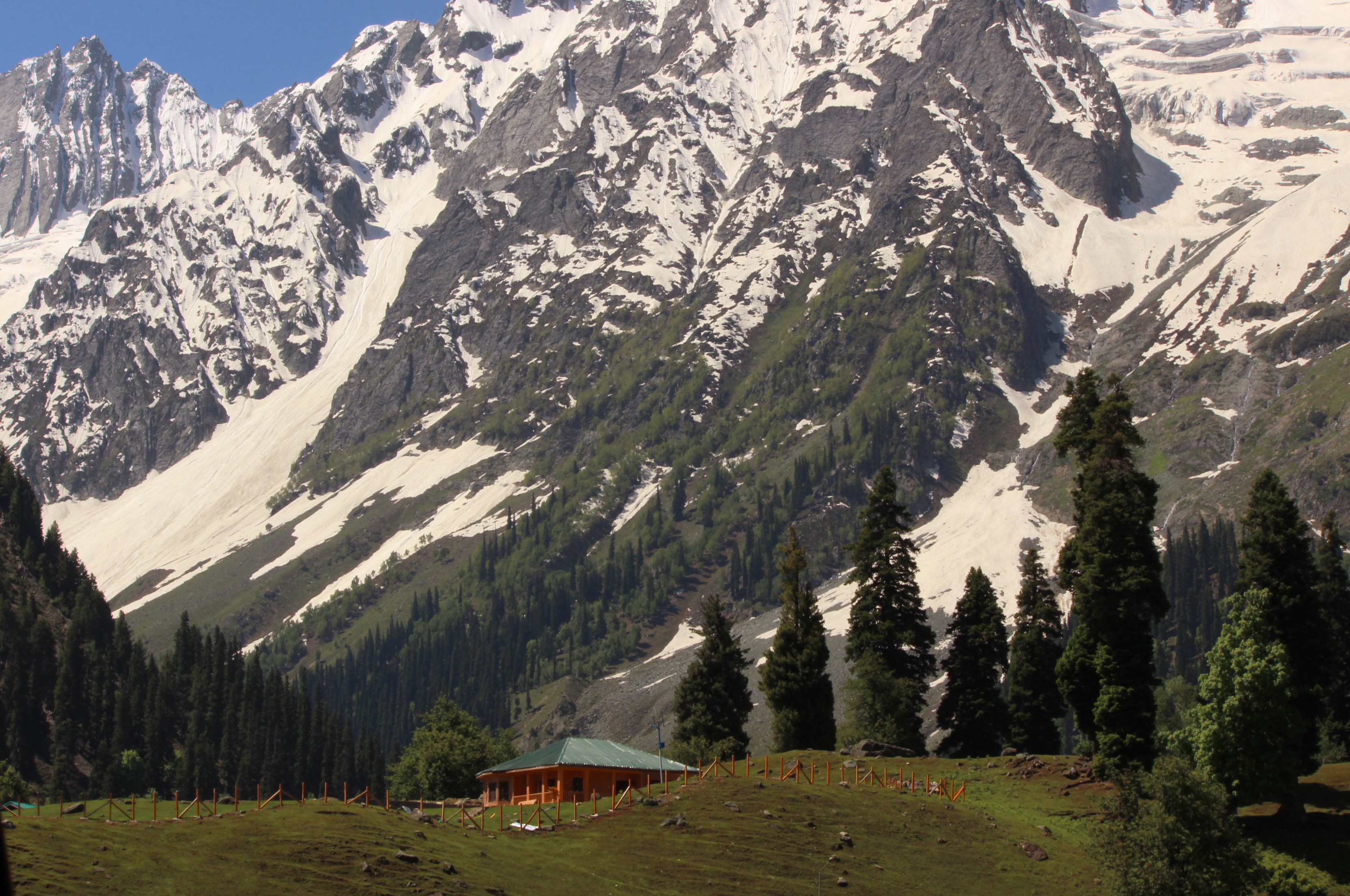 6 NIGHTS 7 DAYS KASHMIR PACKAGE