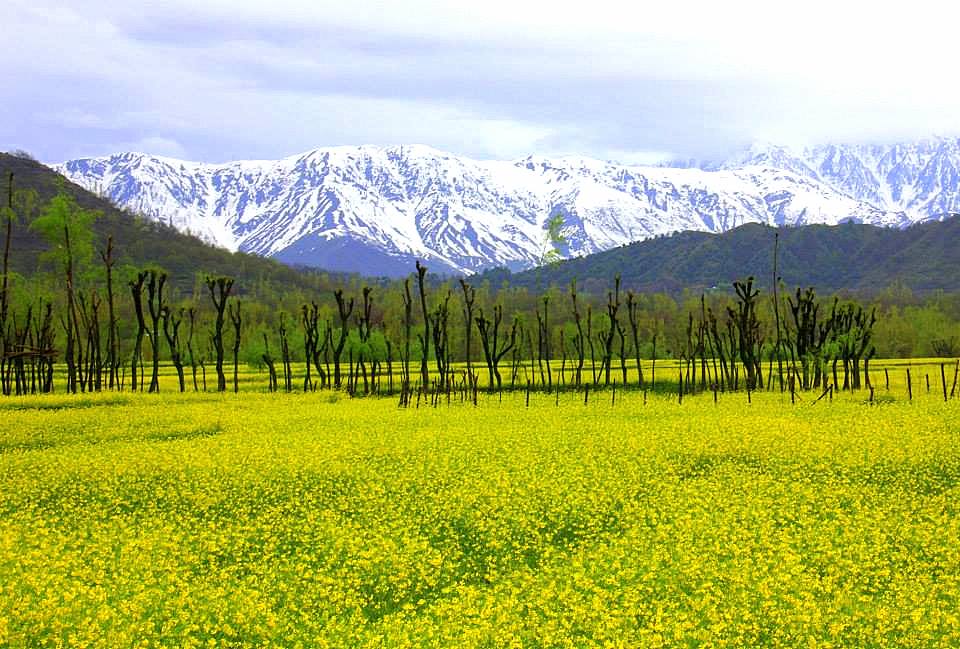 Kokernag